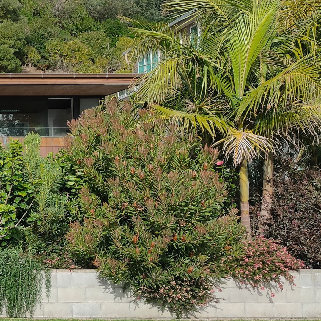 Notch Architecture Ltd.