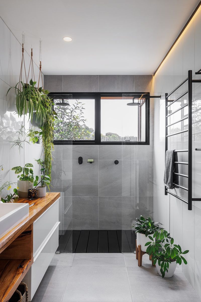 Whisker Architecture