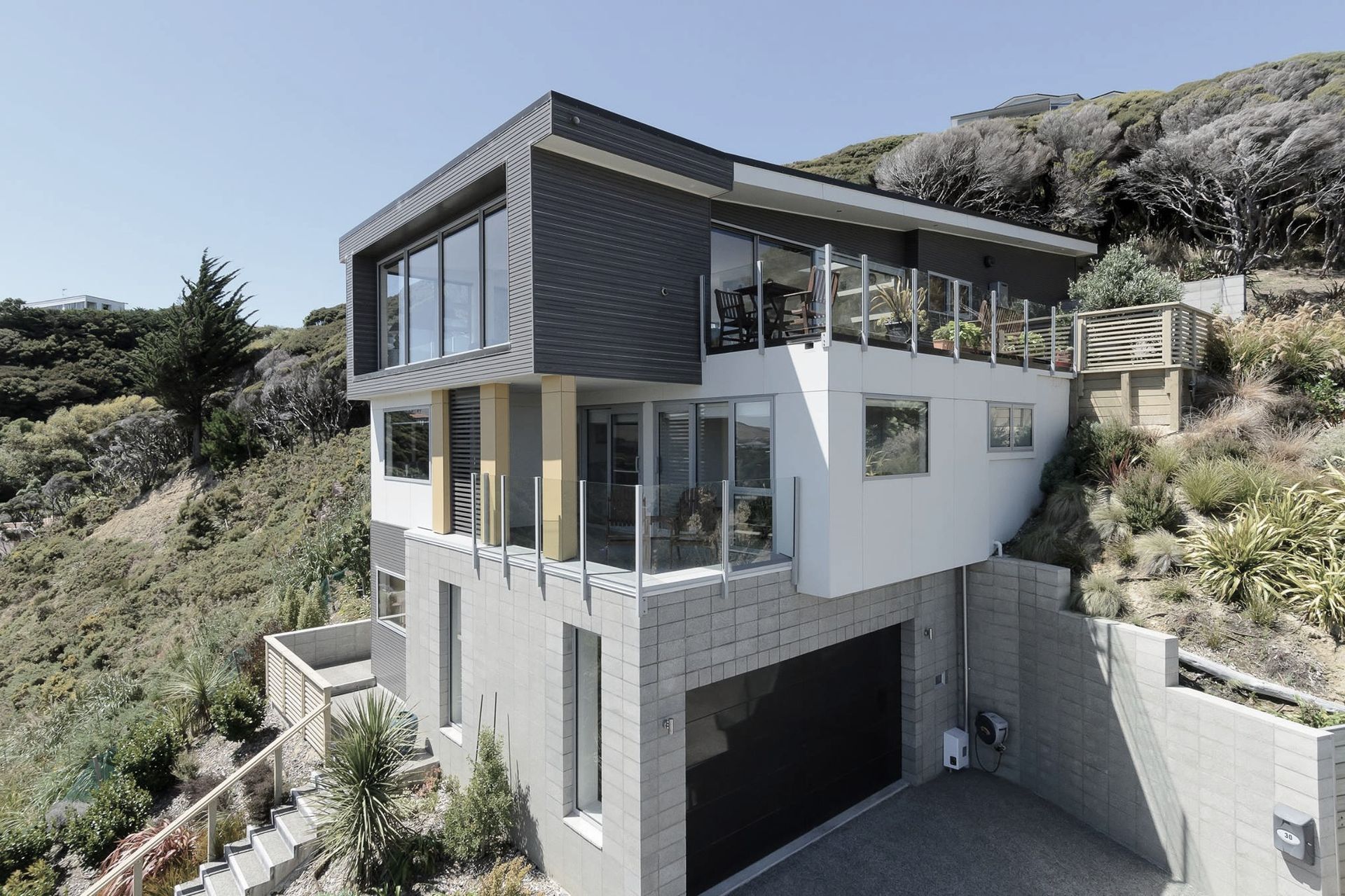 Supporting Image 7 for Intelligent Design