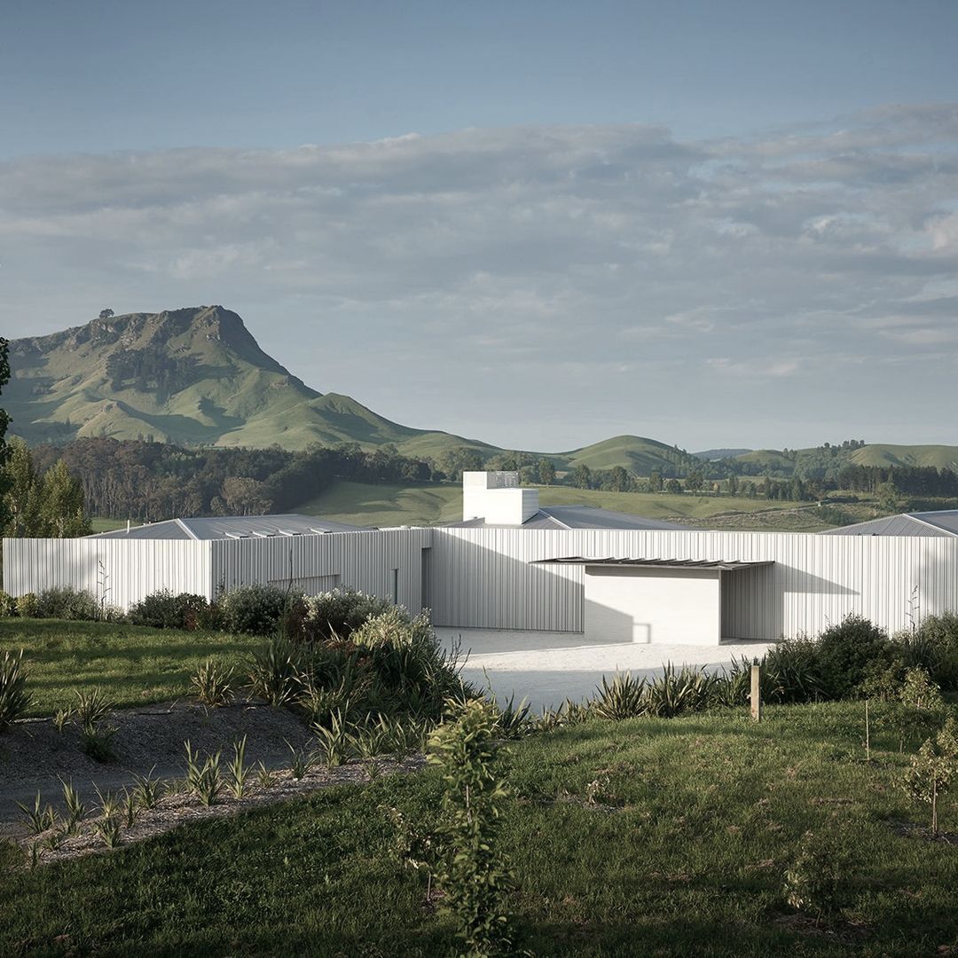 Andy Coltart Architecture & Development