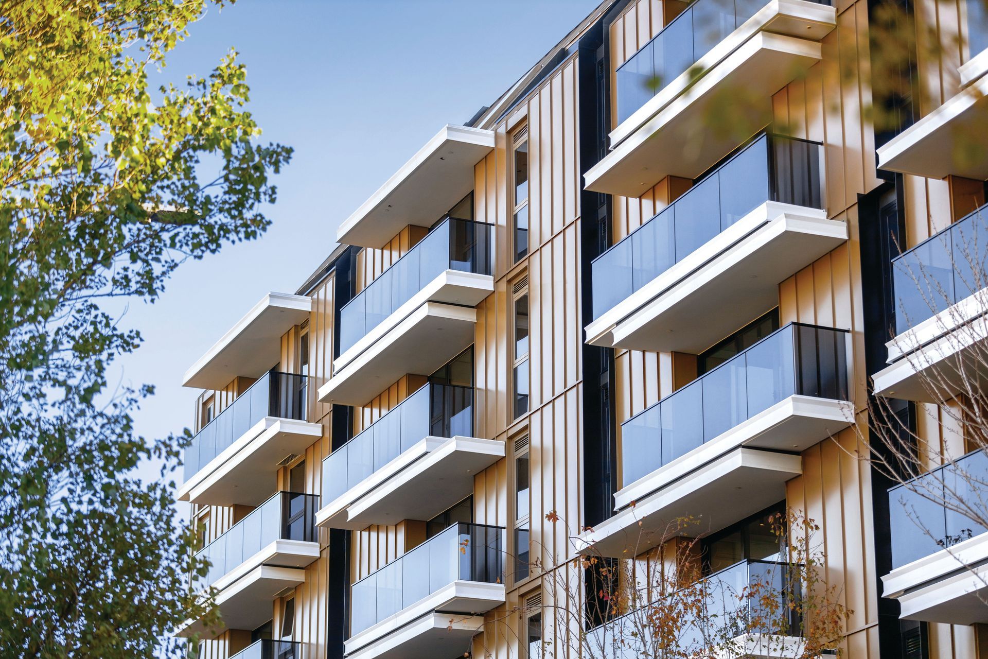 Supporting Image 7 for BALMAIN & CO