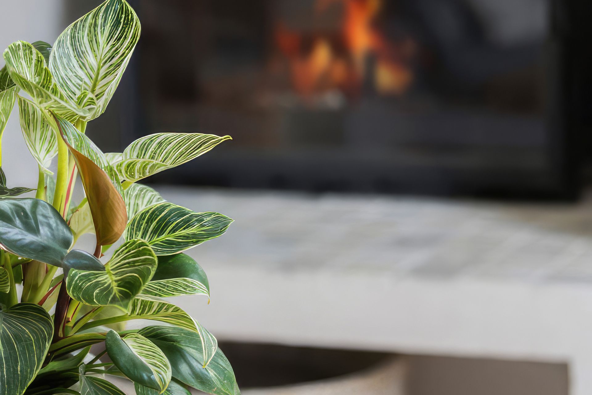 Supporting Image 2 for Briody Constructions