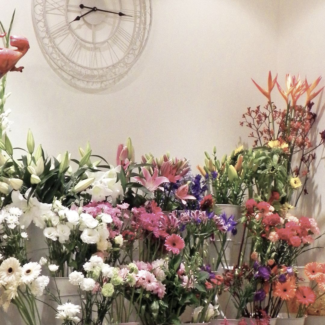 Winchester Interiors