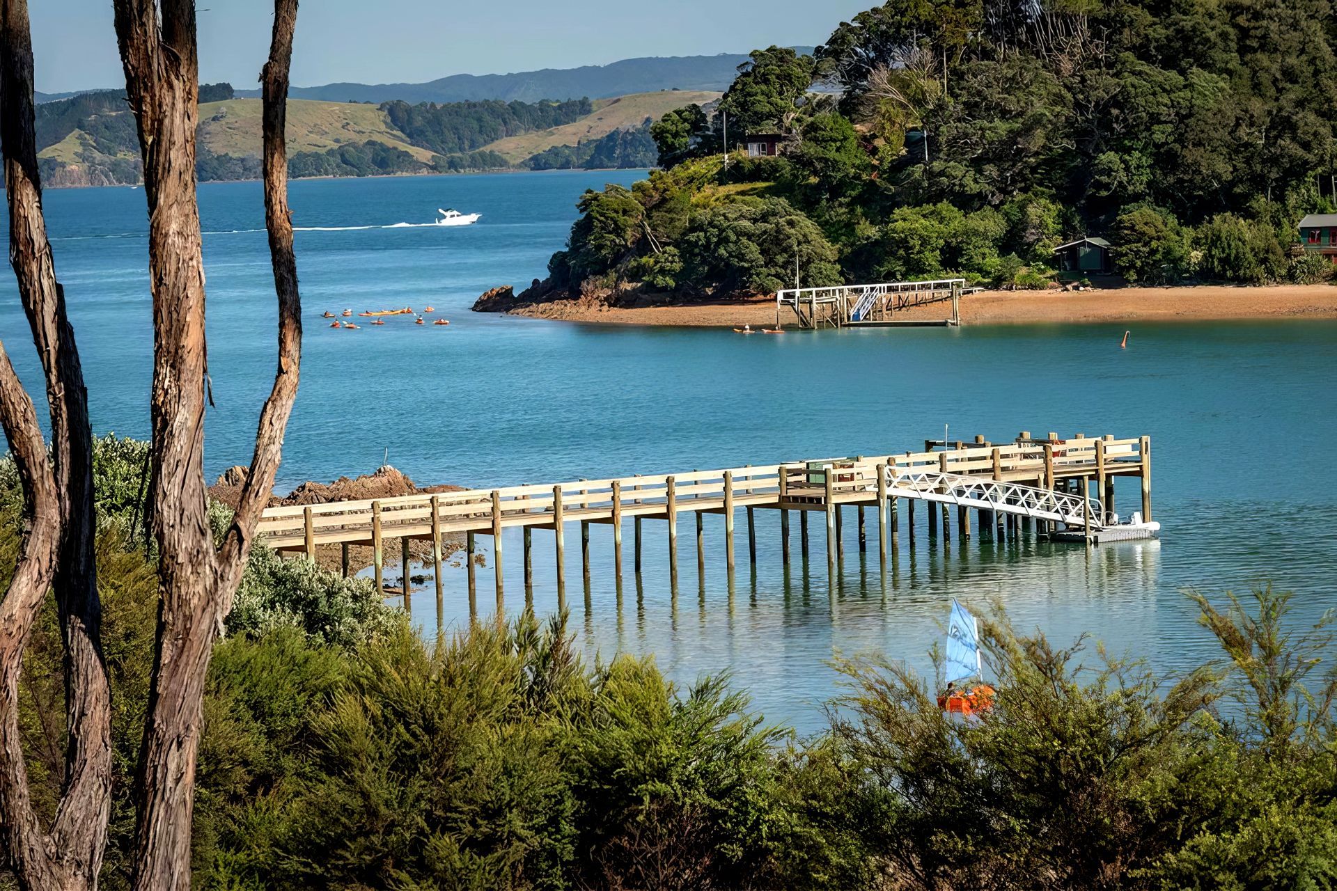 Supporting Image 3 for Northpine