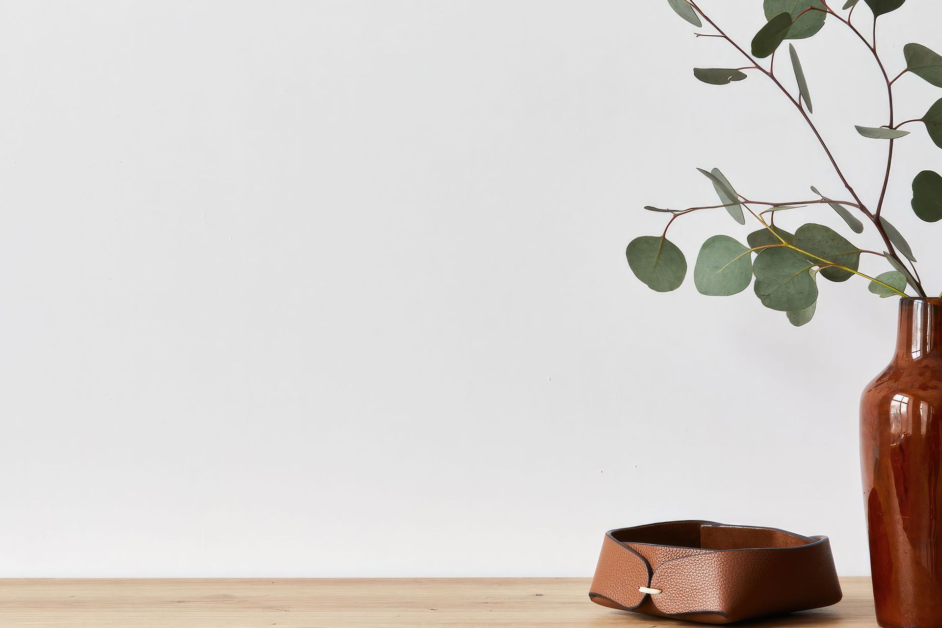 Hero Banner for Green Suite