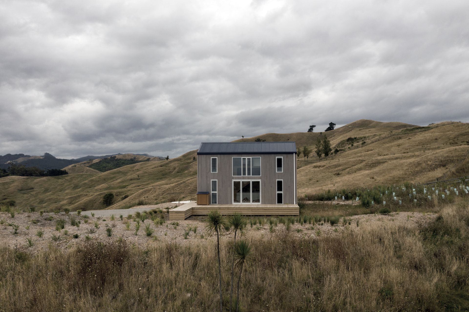 Supporting Image 2 for DStevens