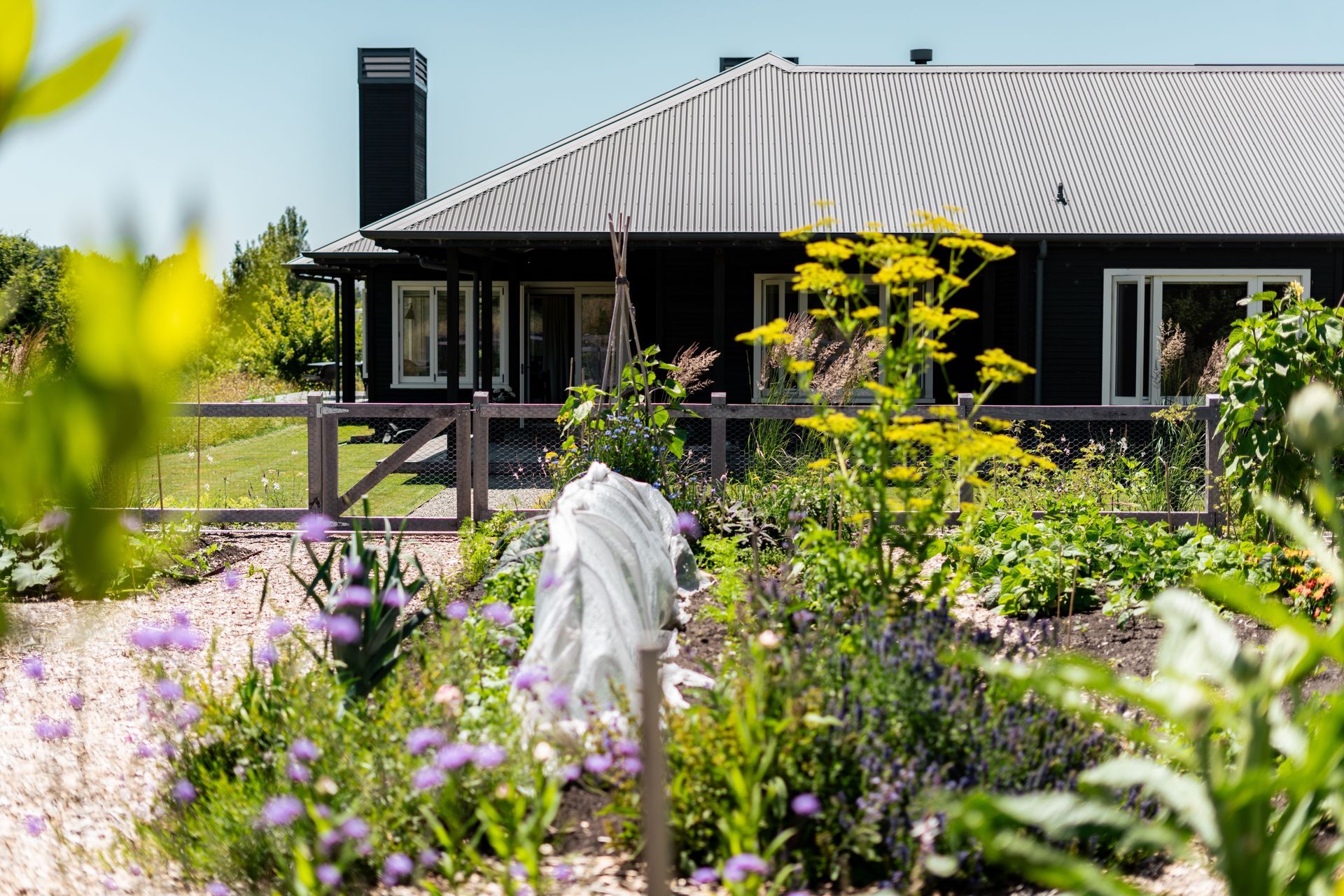 Supporting Image 2 for Jensen Projects