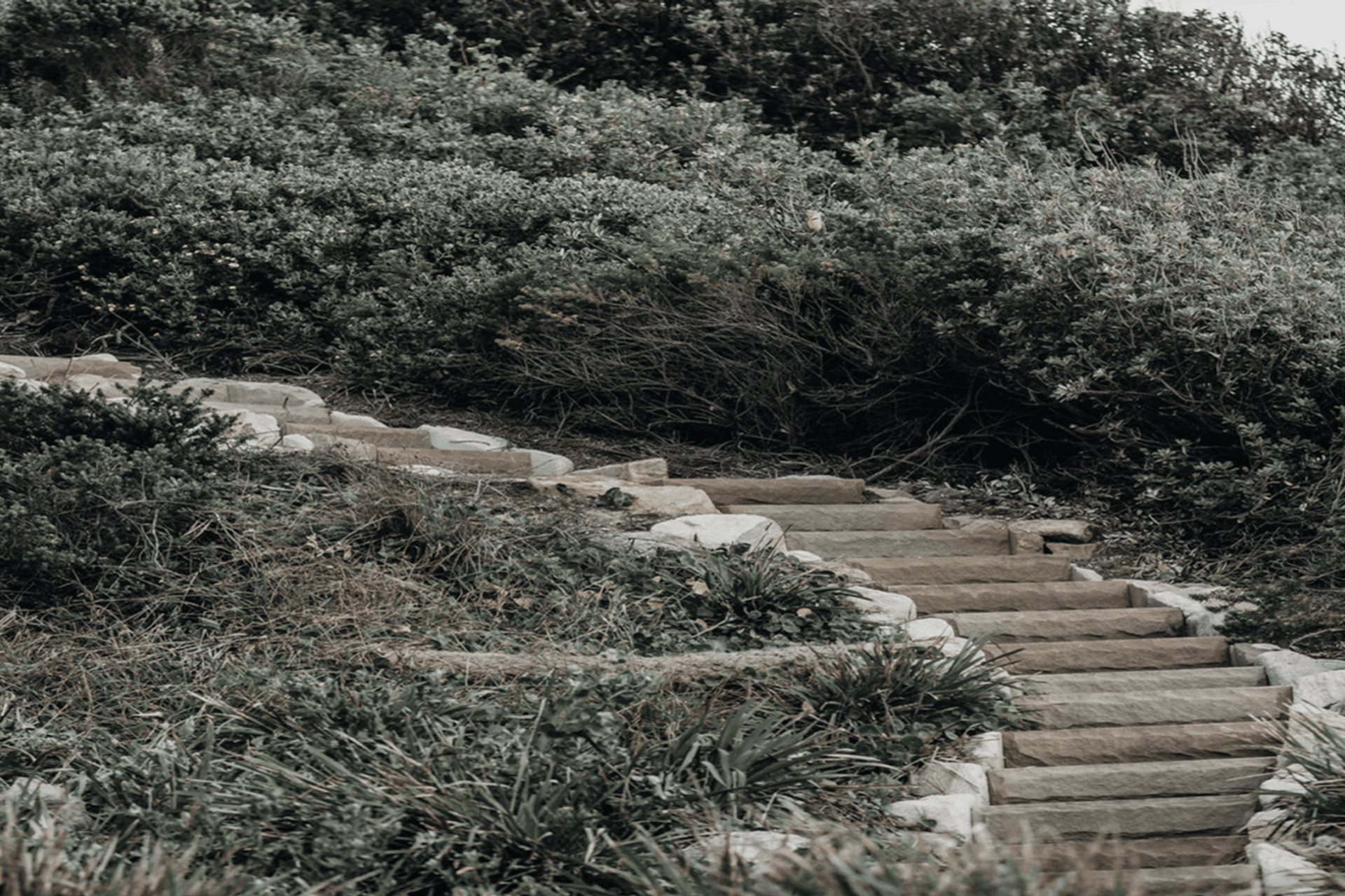 Supporting Image 2 for Centred Building Design