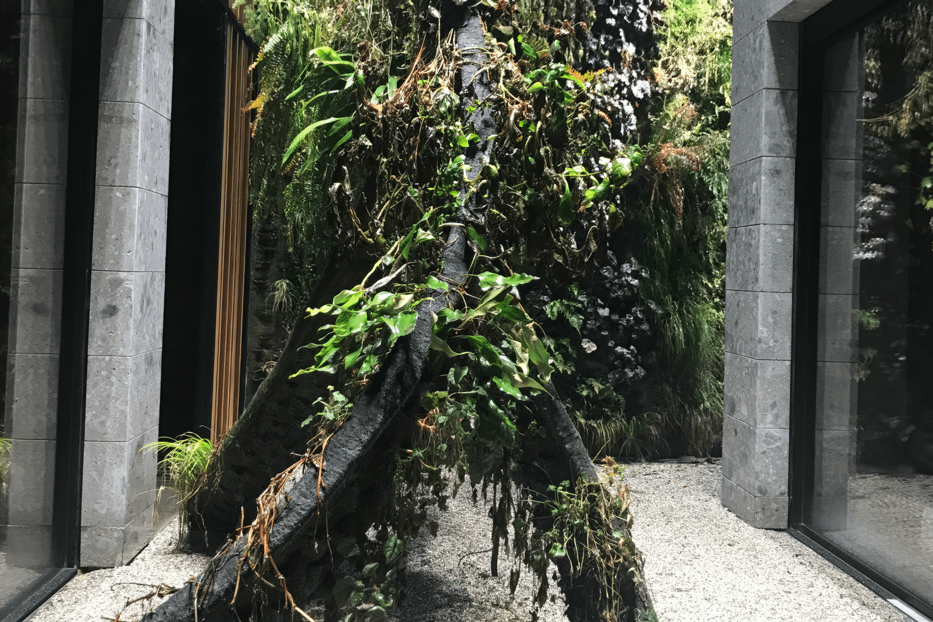 Supporting Image 3 for Framed Future