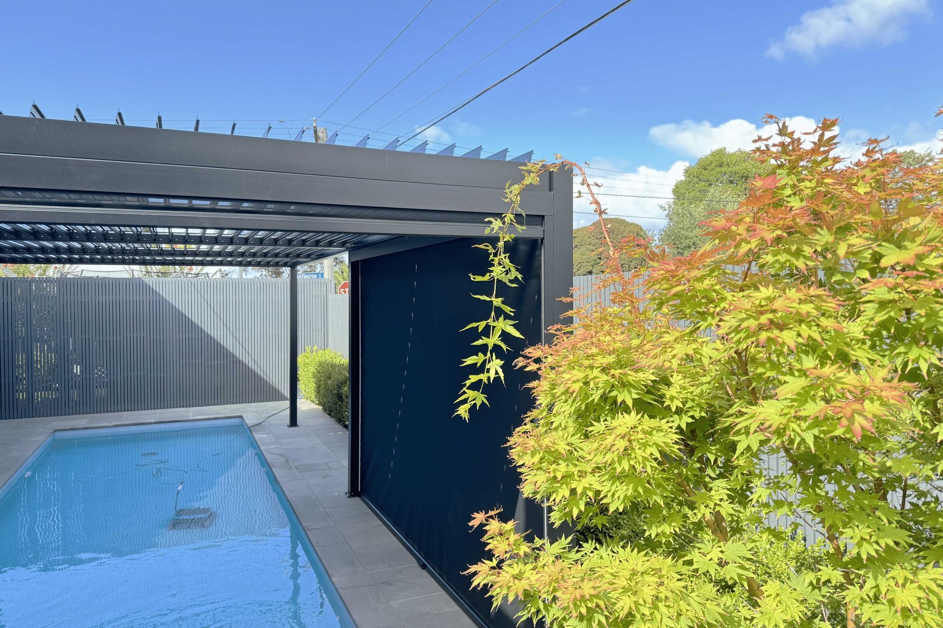 Supporting Image 4 for Auro Azuki