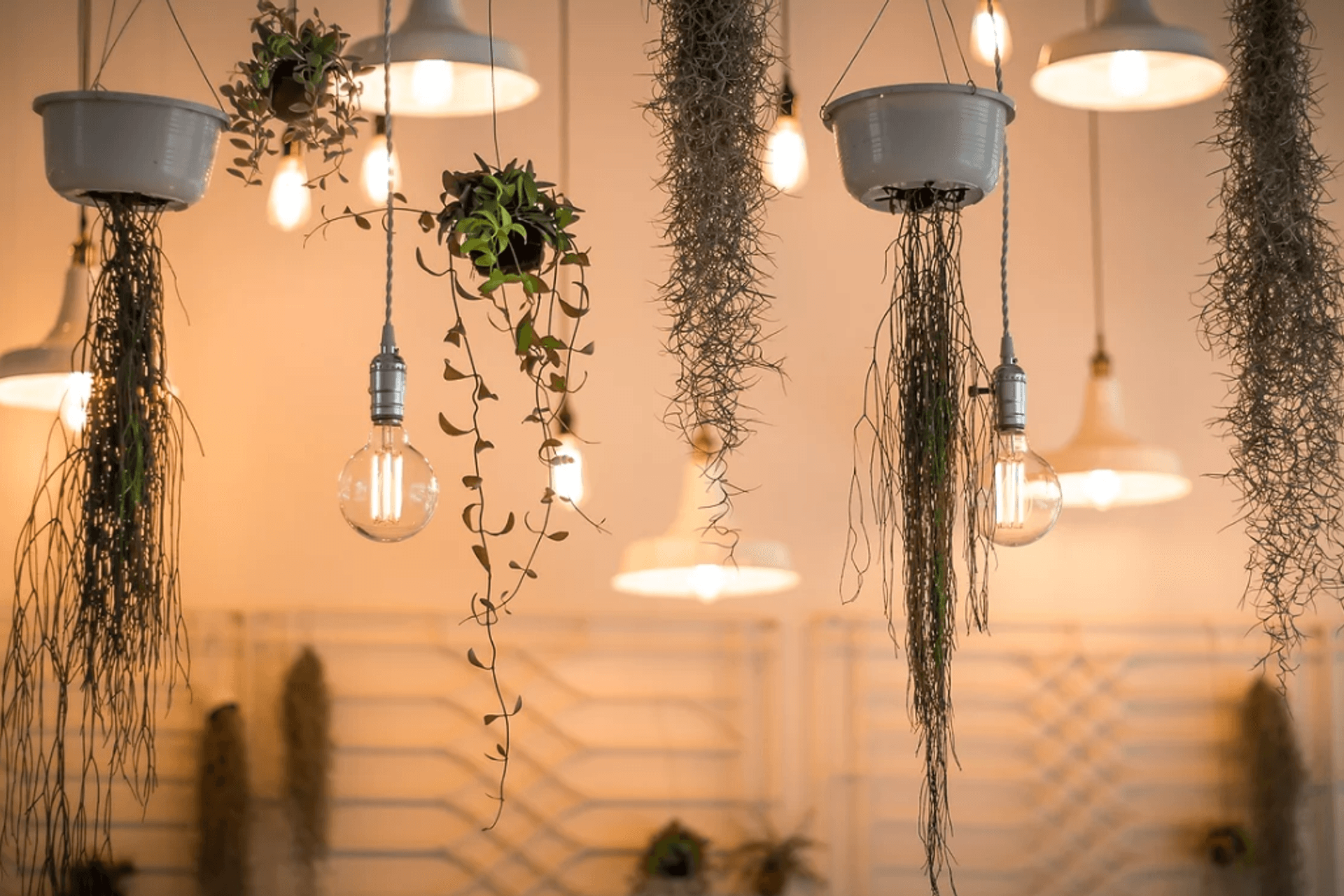 Hero Banner for V Electrical