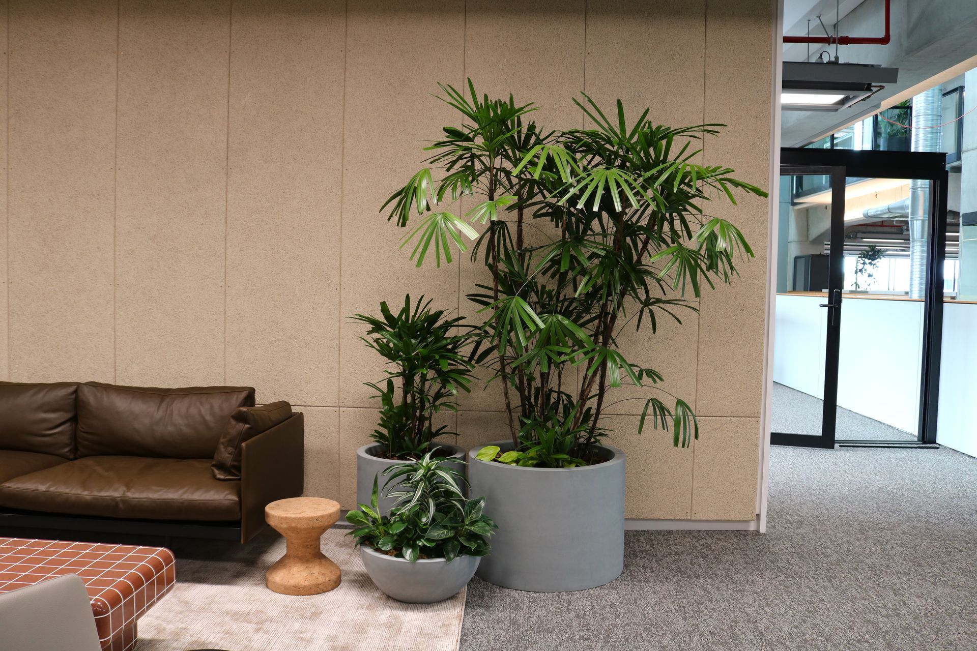 Supporting Image 5 for Hire Plants