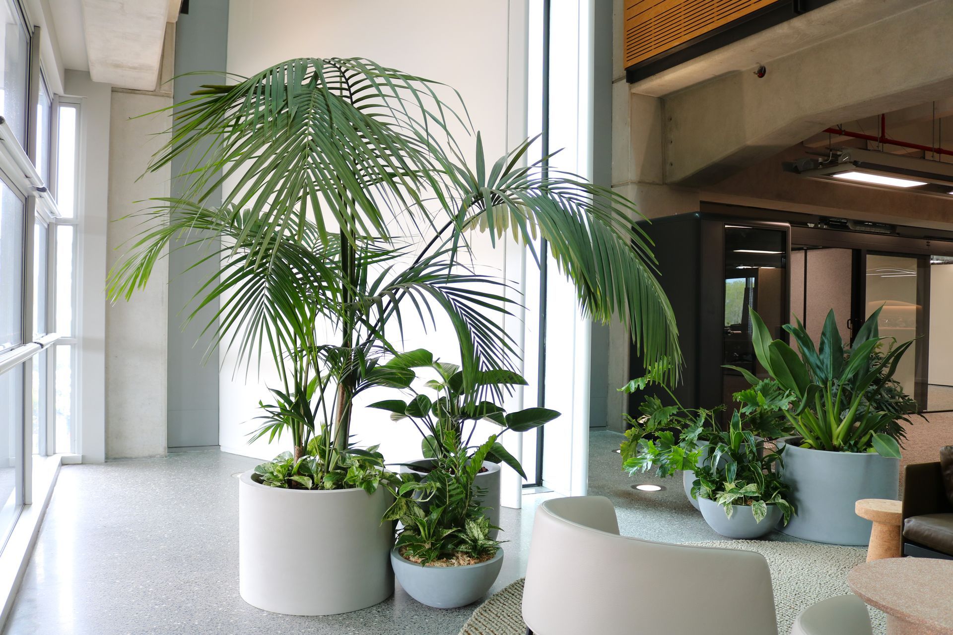 Supporting Image 2 for Hire Plants