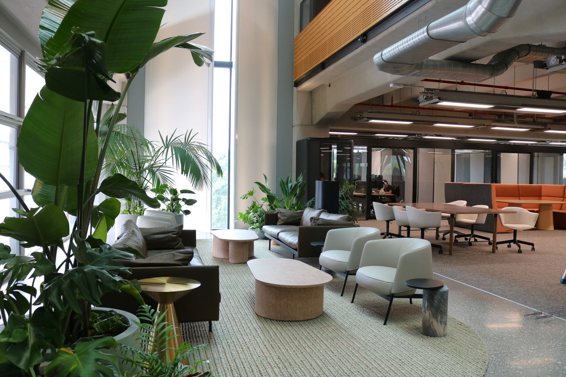 Supporting Image 4 for Hire Plants