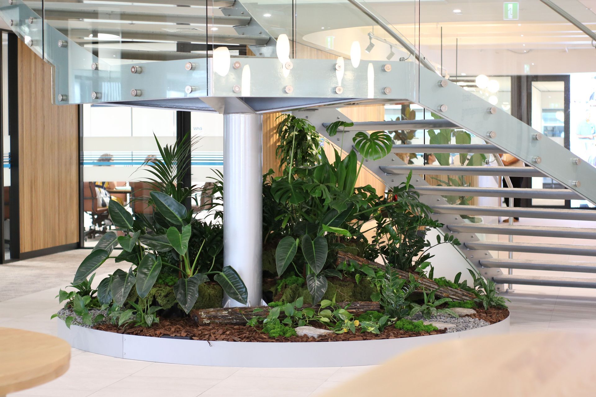 Supporting Image 6 for Hire Plants