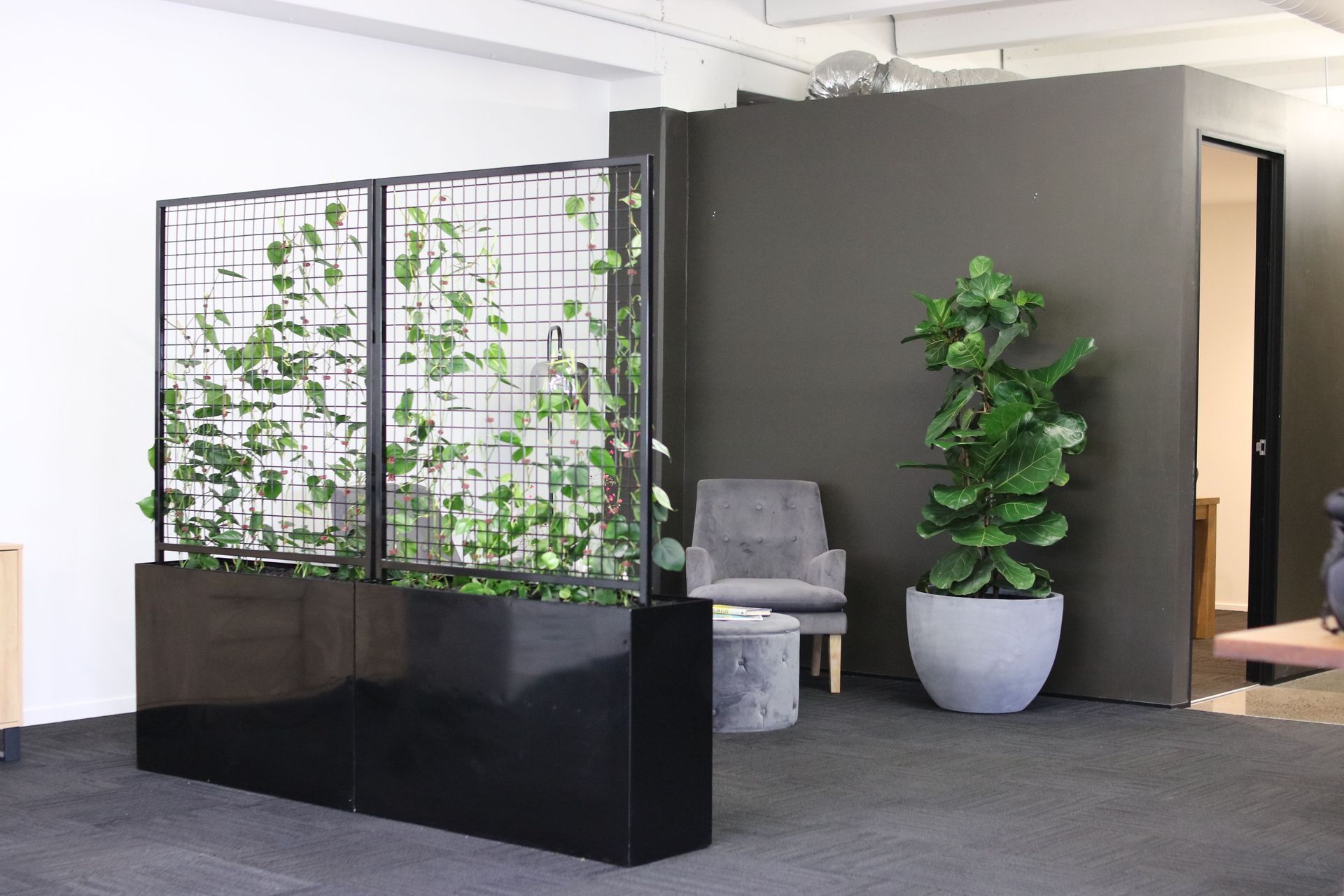 Supporting Image 1 for Hire Plants