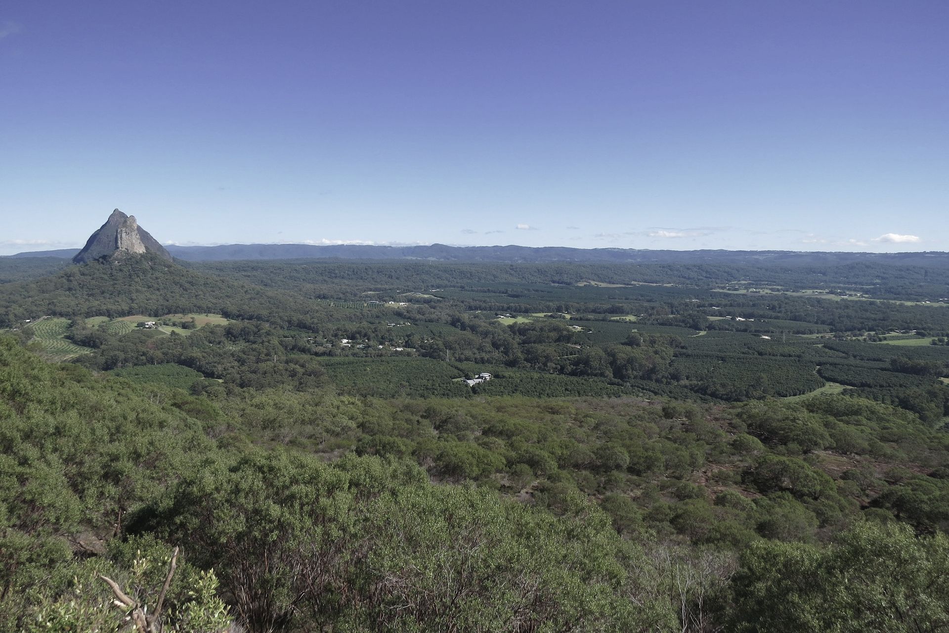 Supporting Image 3 for Responsible Wood