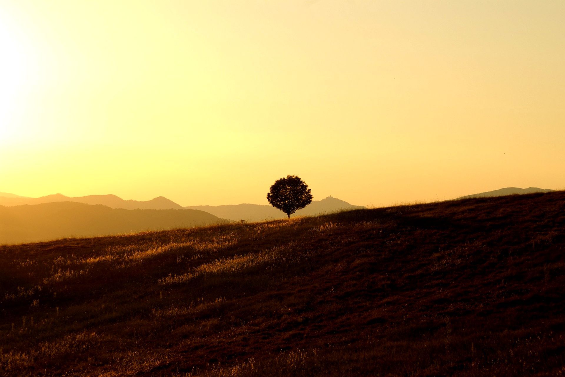 Hero Banner for GECA