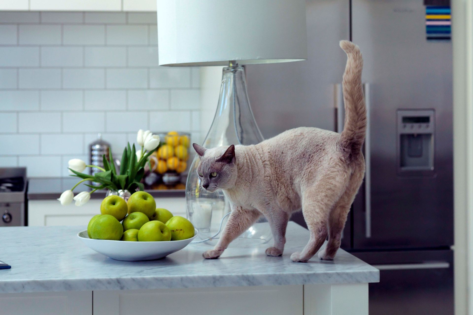 Supporting Image 4 for Bridget Foley Design