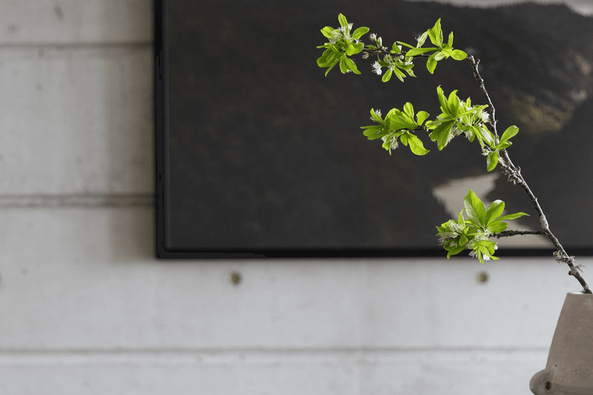 Supporting Image 1 for Kelly Davis Interiors