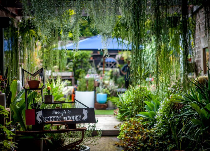 Mike Cass Creative Landscape Architecture