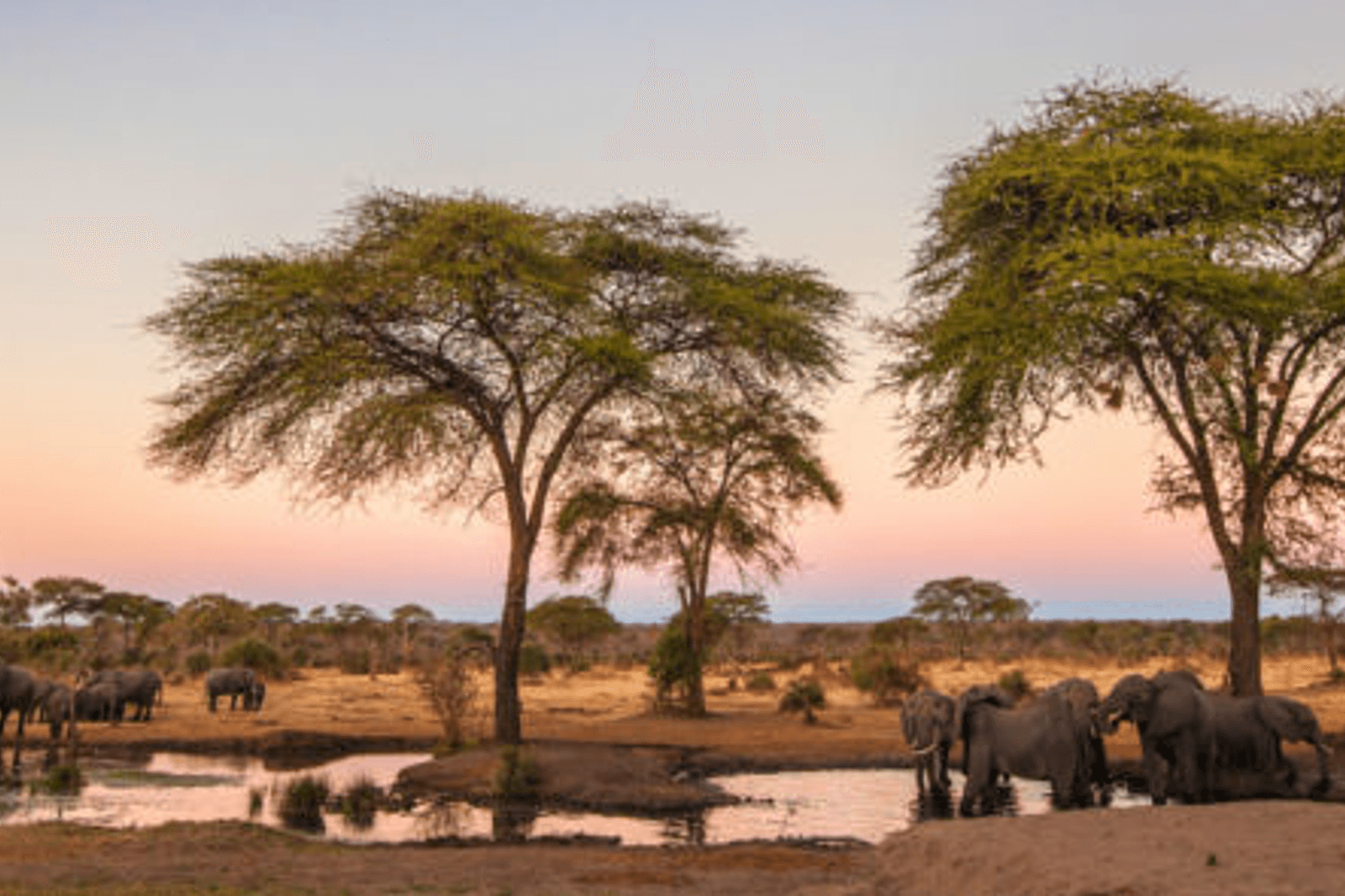 Revive Timber Designs