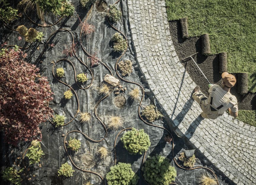 Meg Kane Landscape Architect