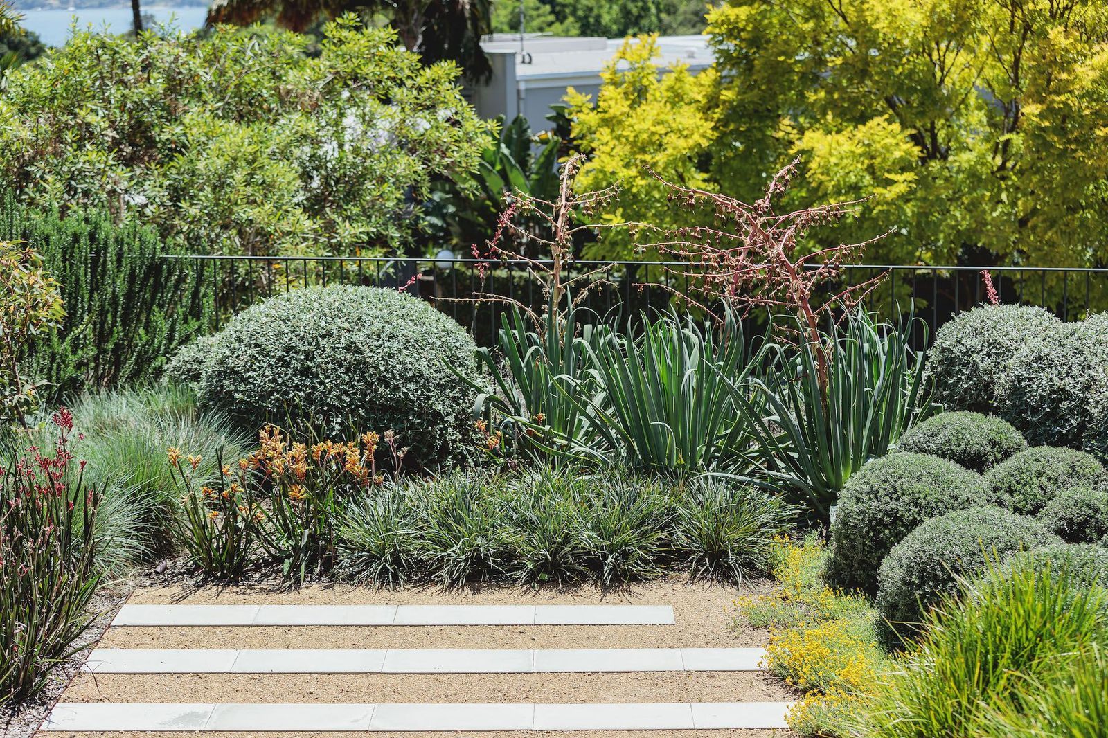 Melissa Wilson Landscape Architects