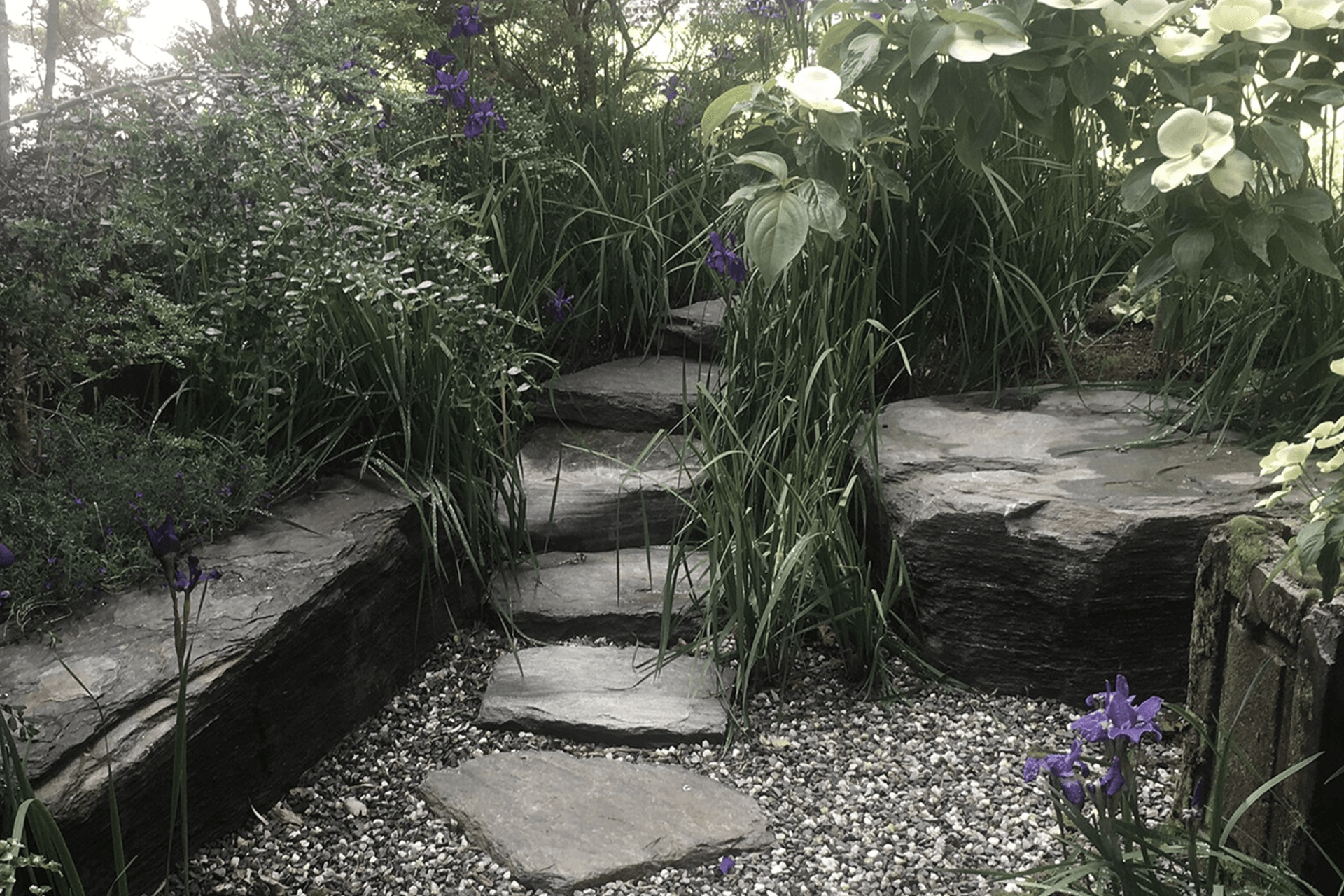 Supporting Image 4 for JVB Landscape