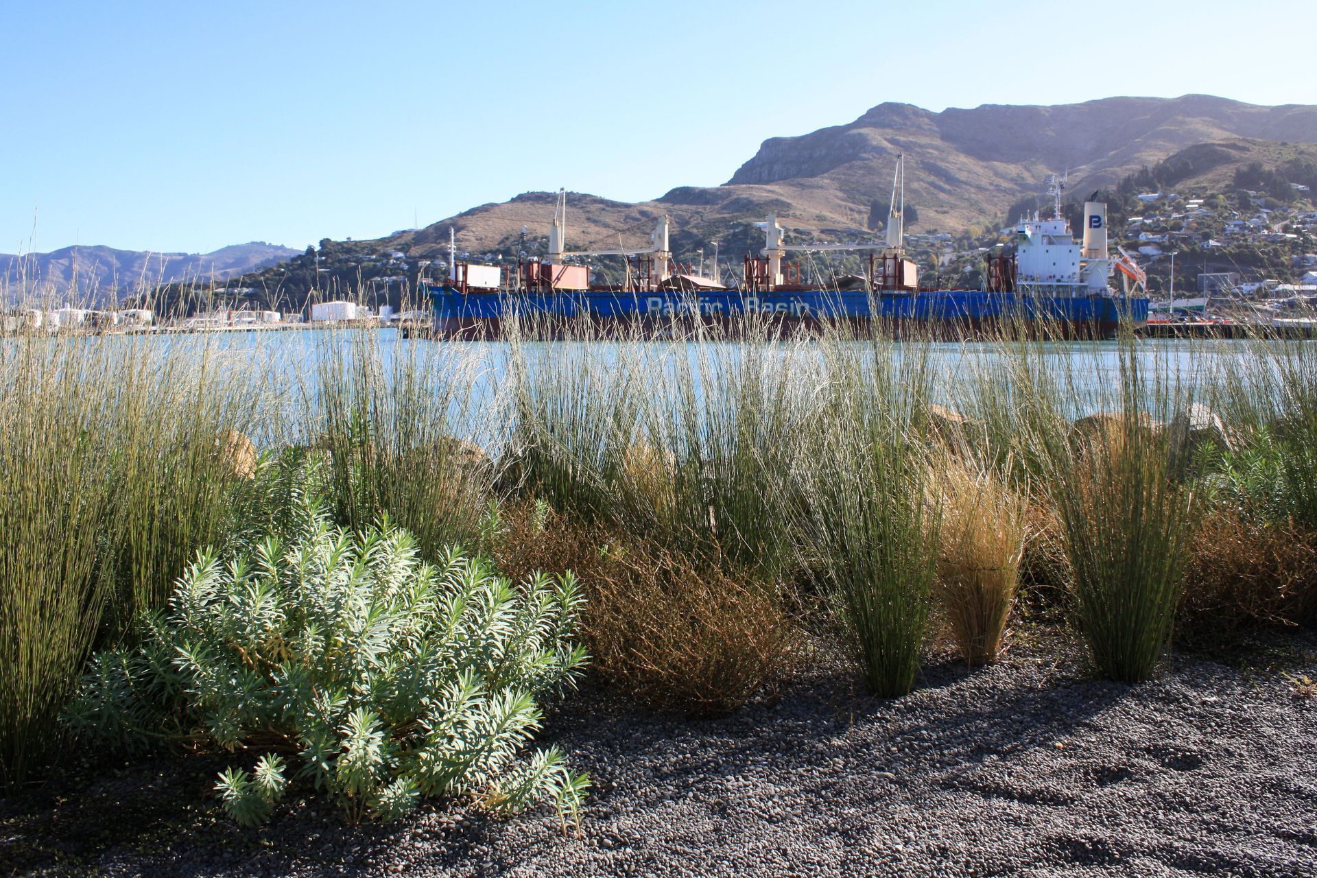 Supporting Image 3 for Botanic Landscape Architects