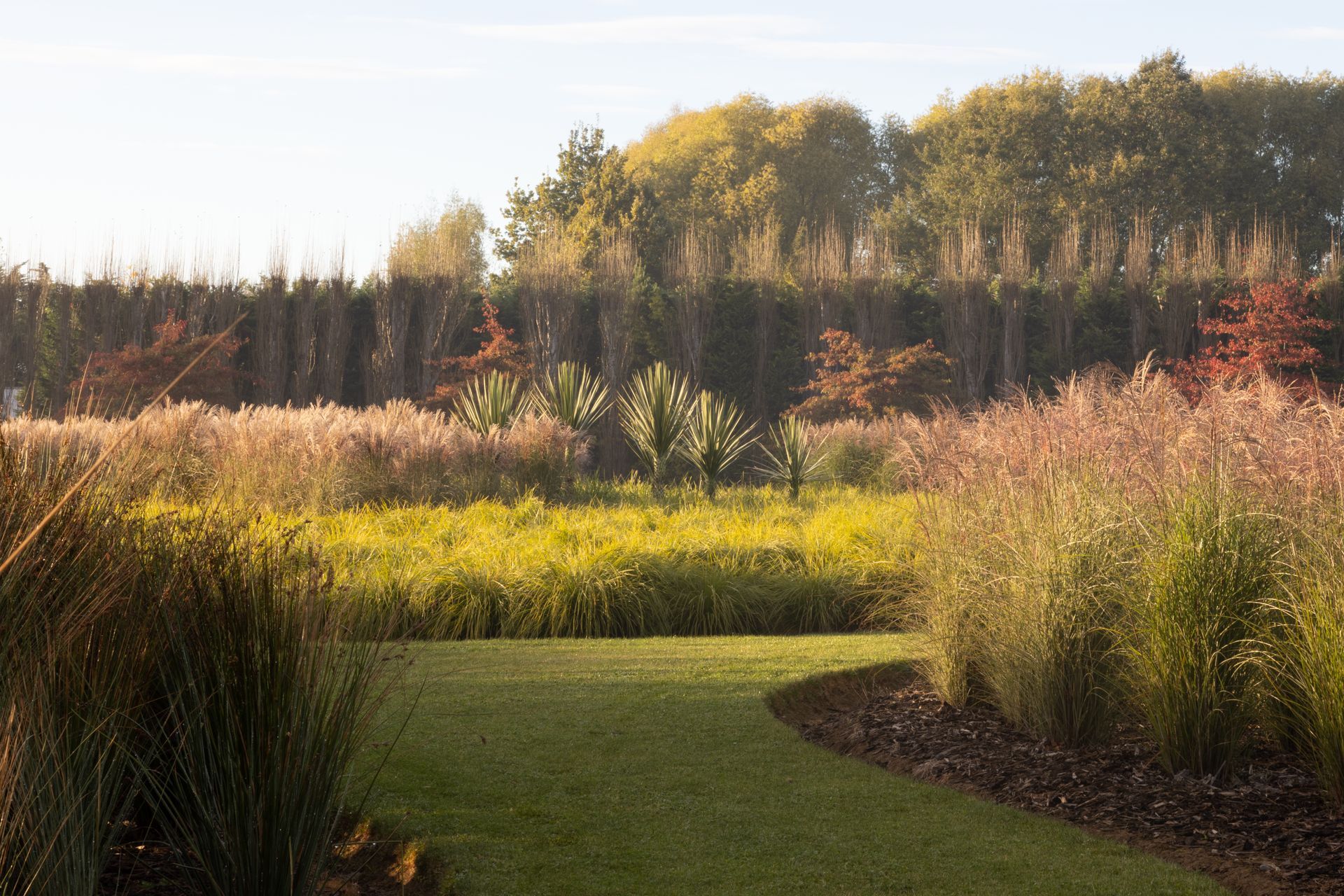 Supporting Image 1 for Henry Blakely Landscapes