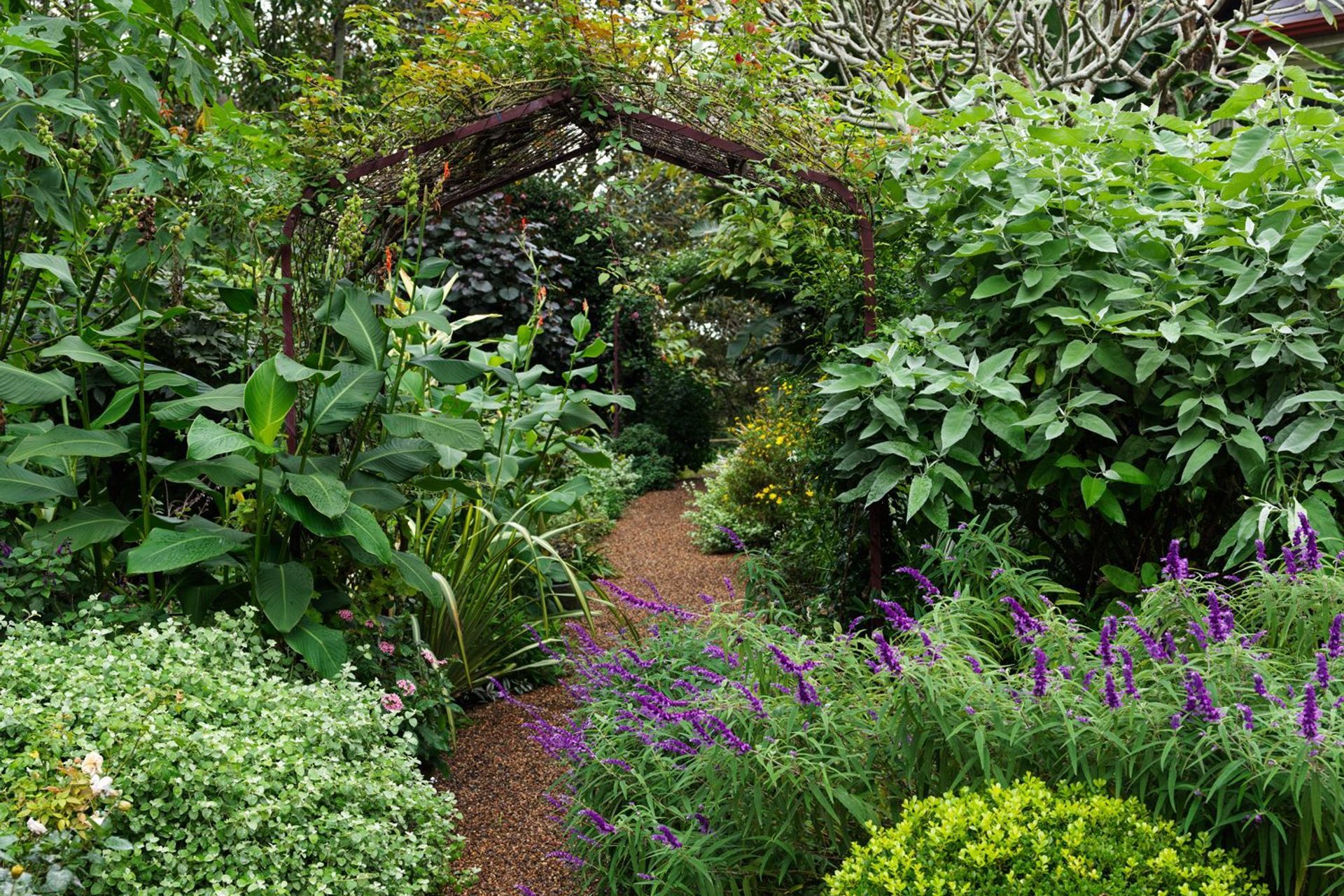 Supporting Image 3 for Pepo Botanic Design