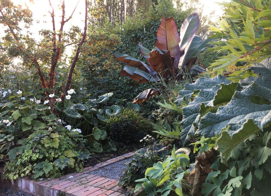 Botanic Landscape Architects