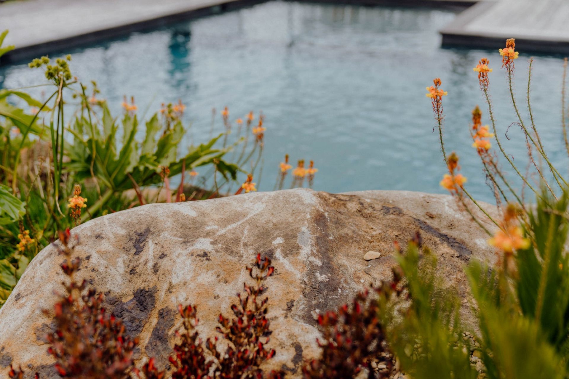 Supporting Image 3 for Onsite Landscapes