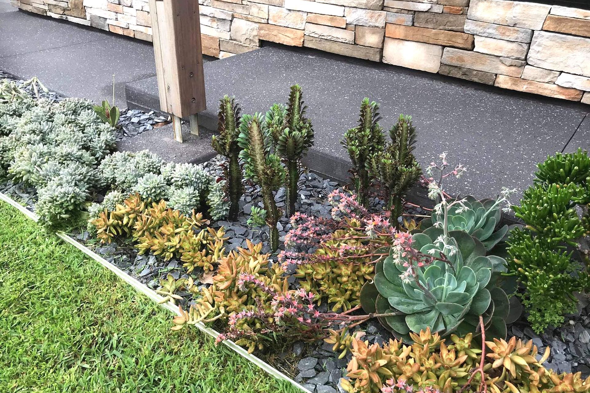 Supporting Image 3 for Devo Designs Landscaping