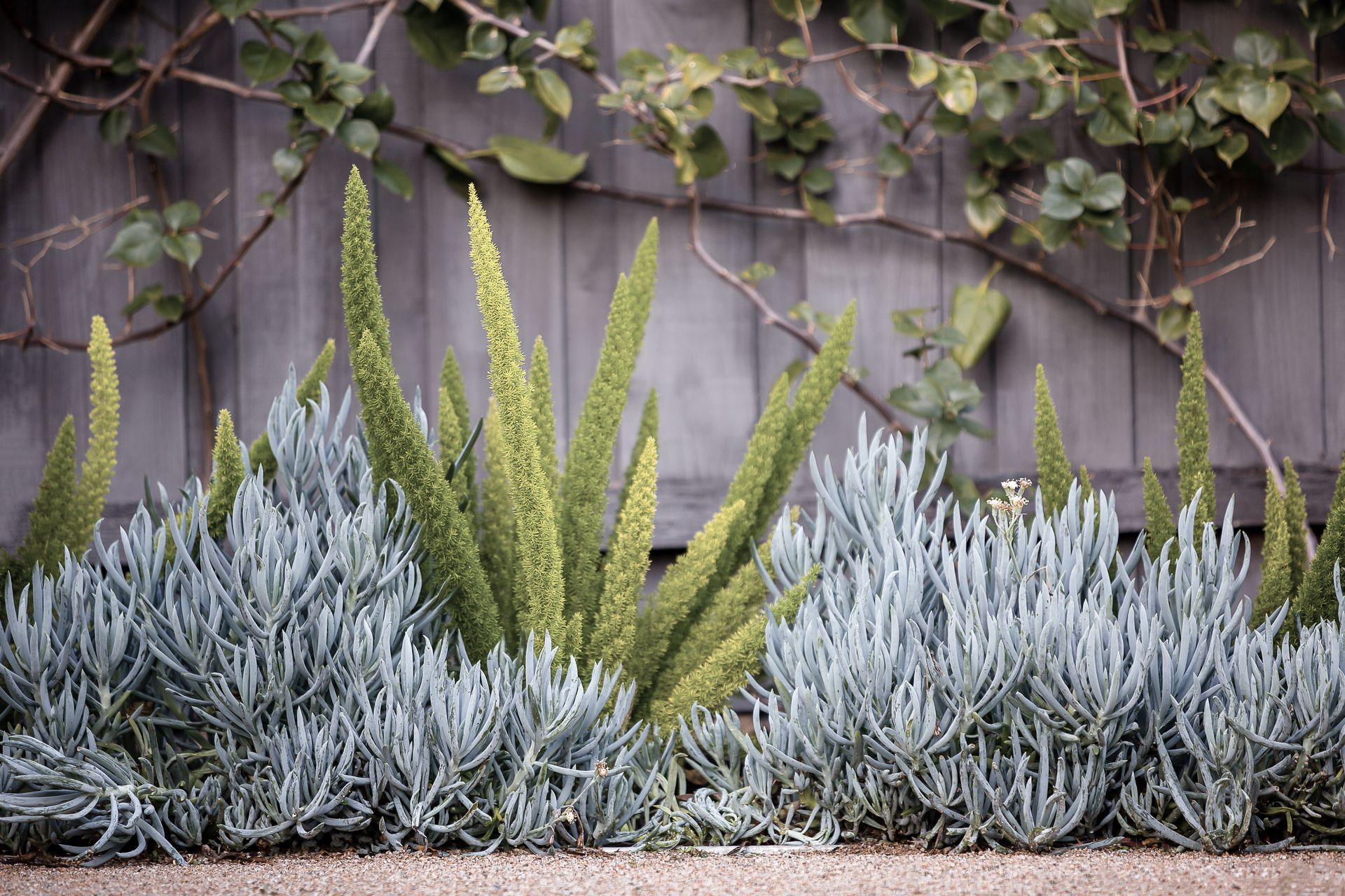 Supporting Image 4 for MG Gardens