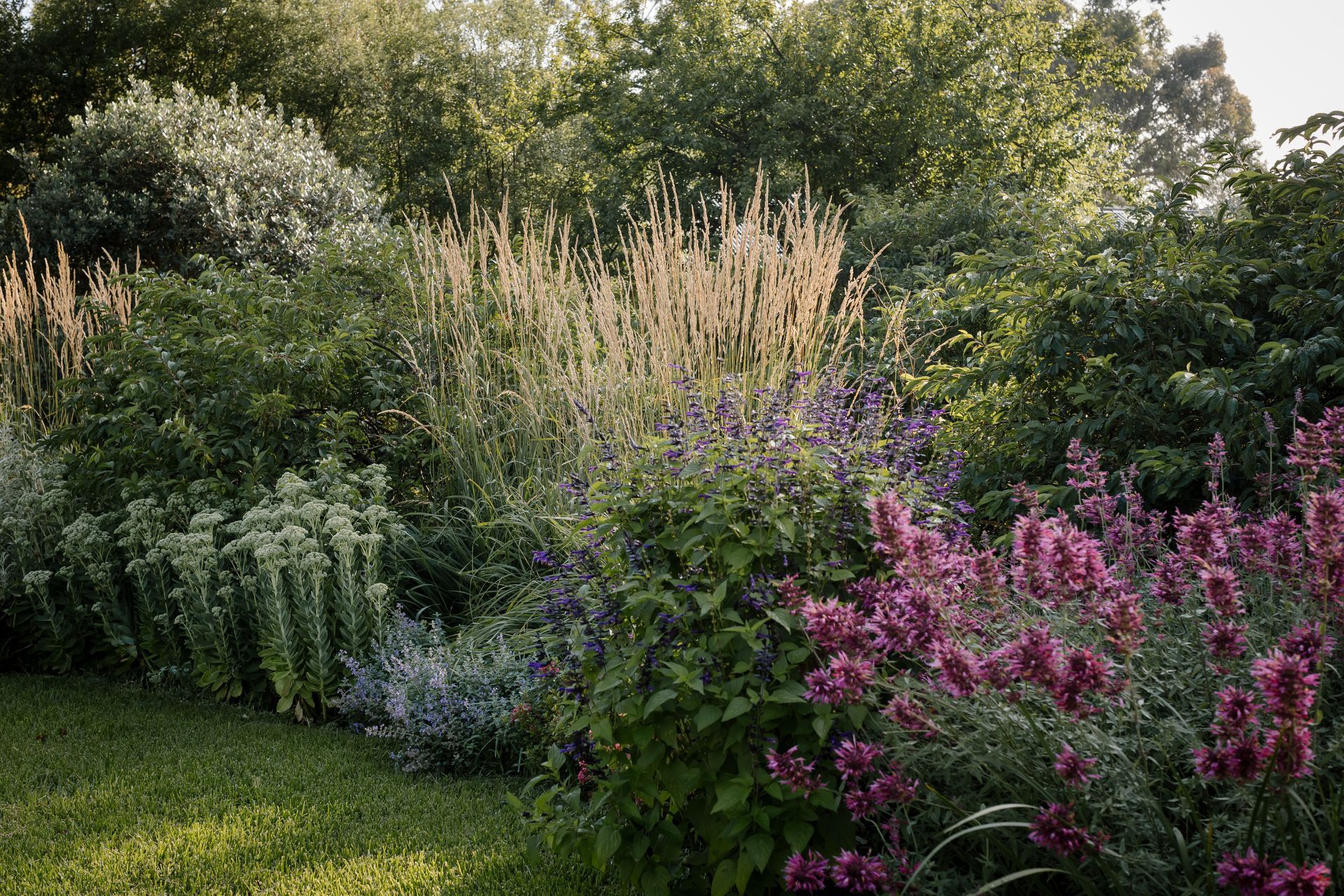 Supporting Image 2 for Ashley James Gardens