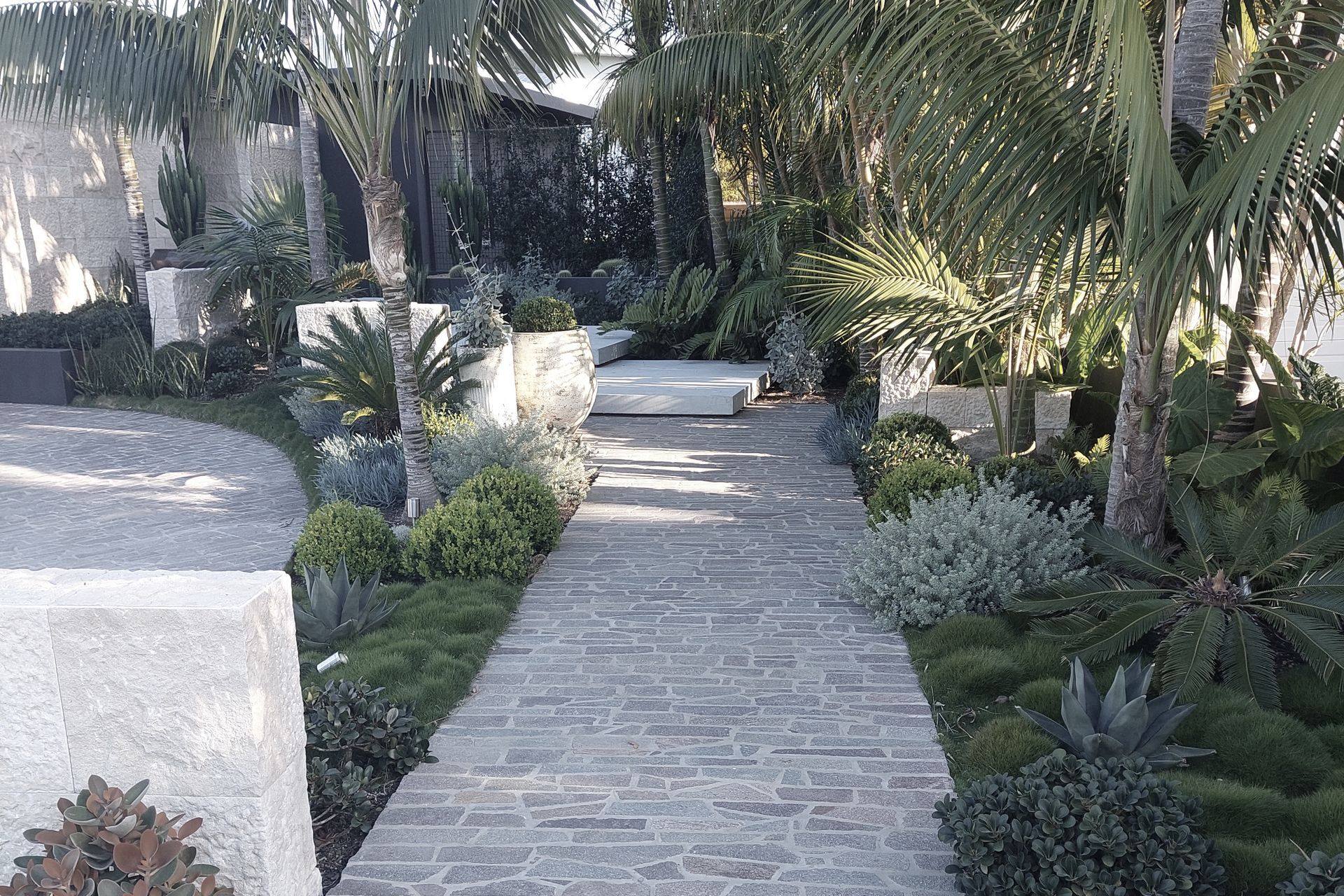 Supporting Image 2 for Rich Earth