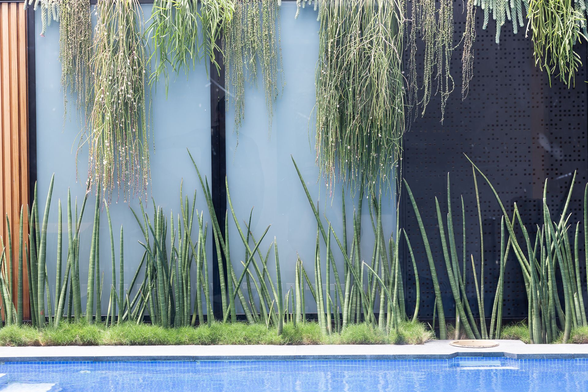 Supporting Image 5 for Garden Society