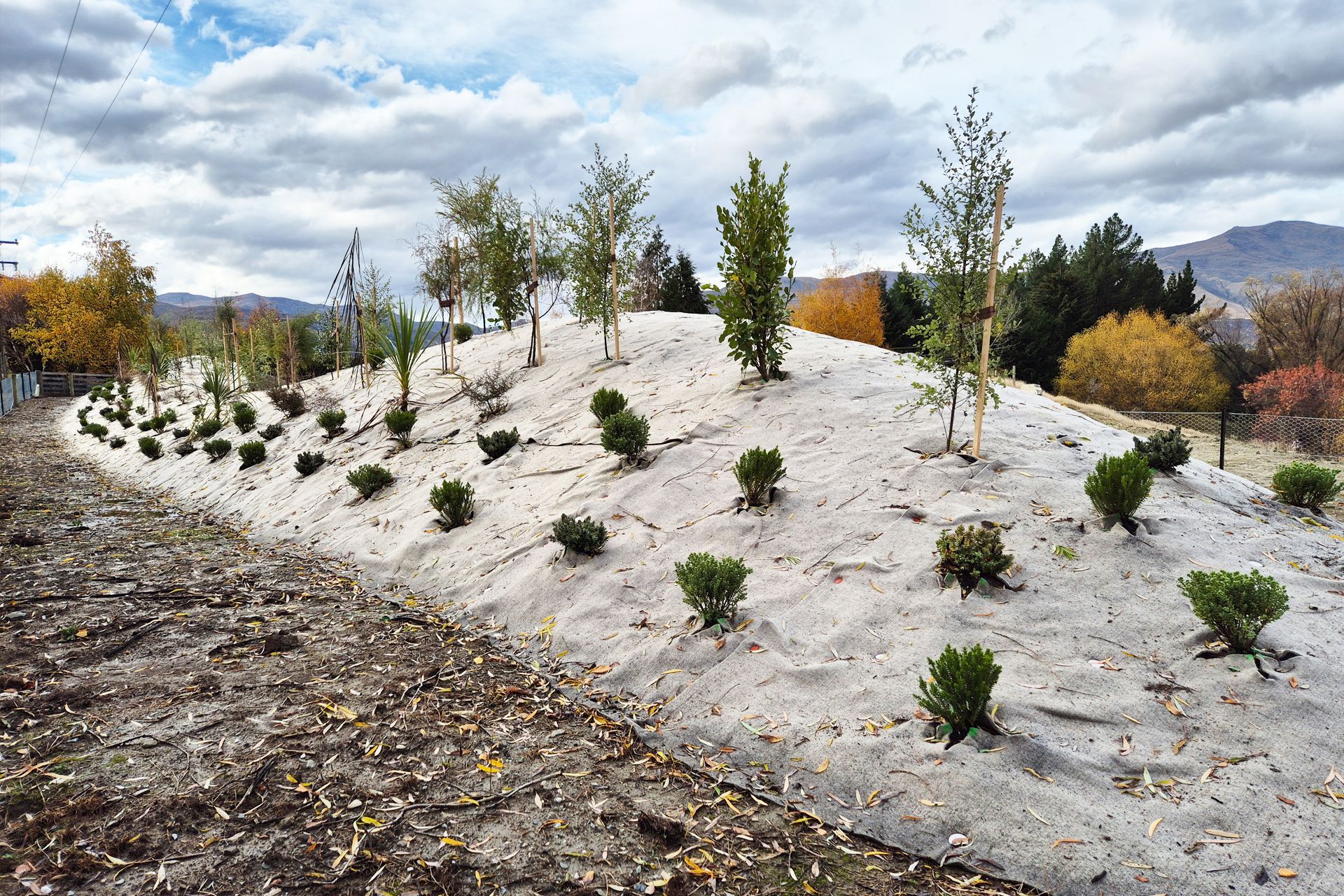 Supporting Image 2 for Advance Landscape Systems