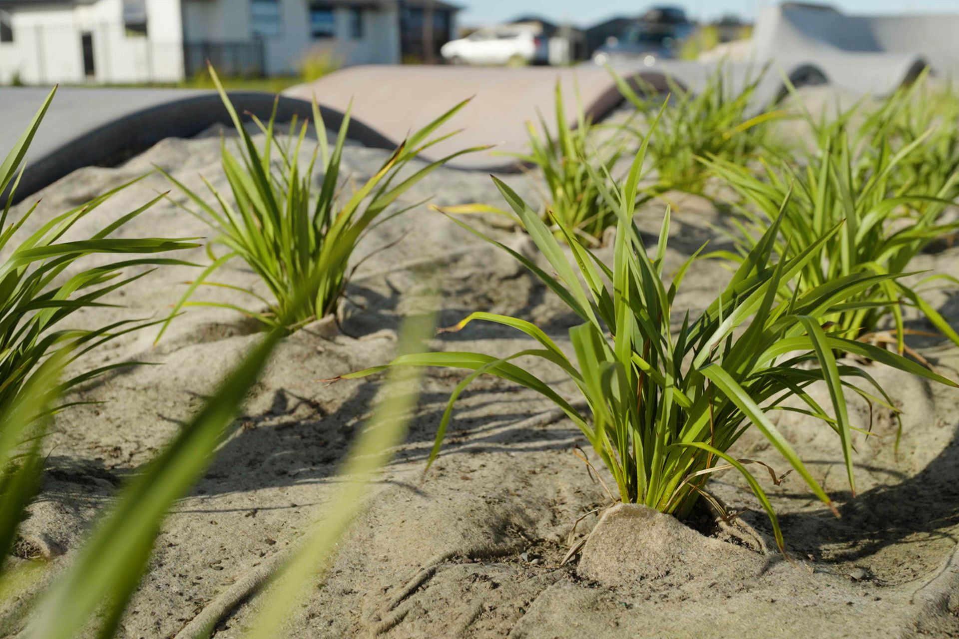 Supporting Image 5 for Advance Landscape Systems