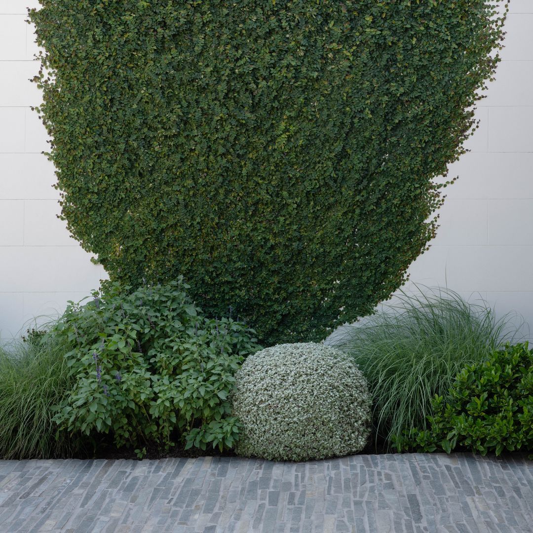 Impressions Landscape Design