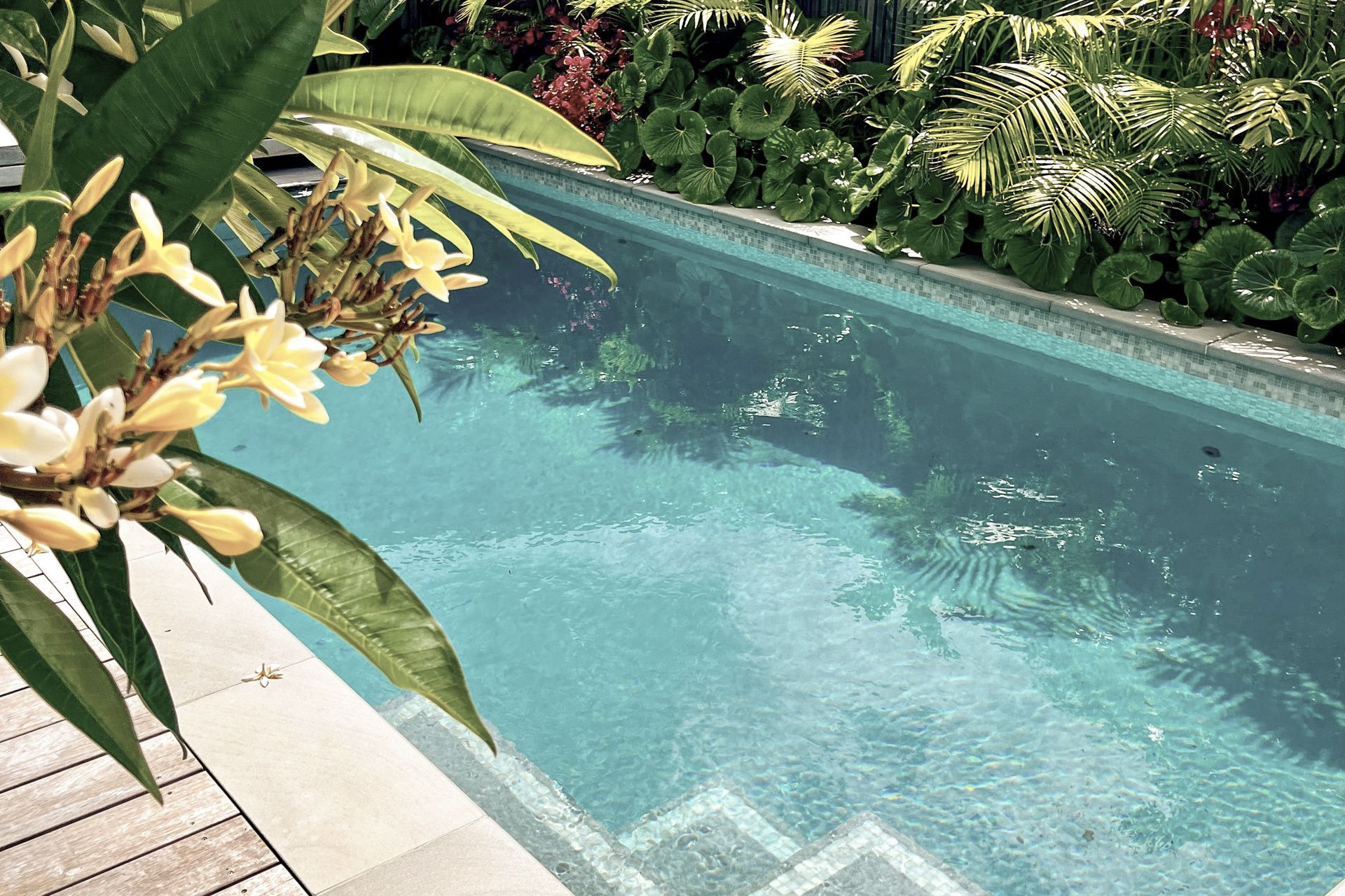 Anna Pepper Design banner