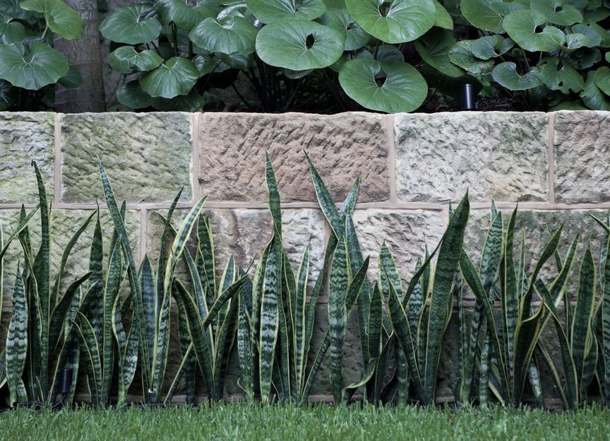 Ben Kaye Garden Design