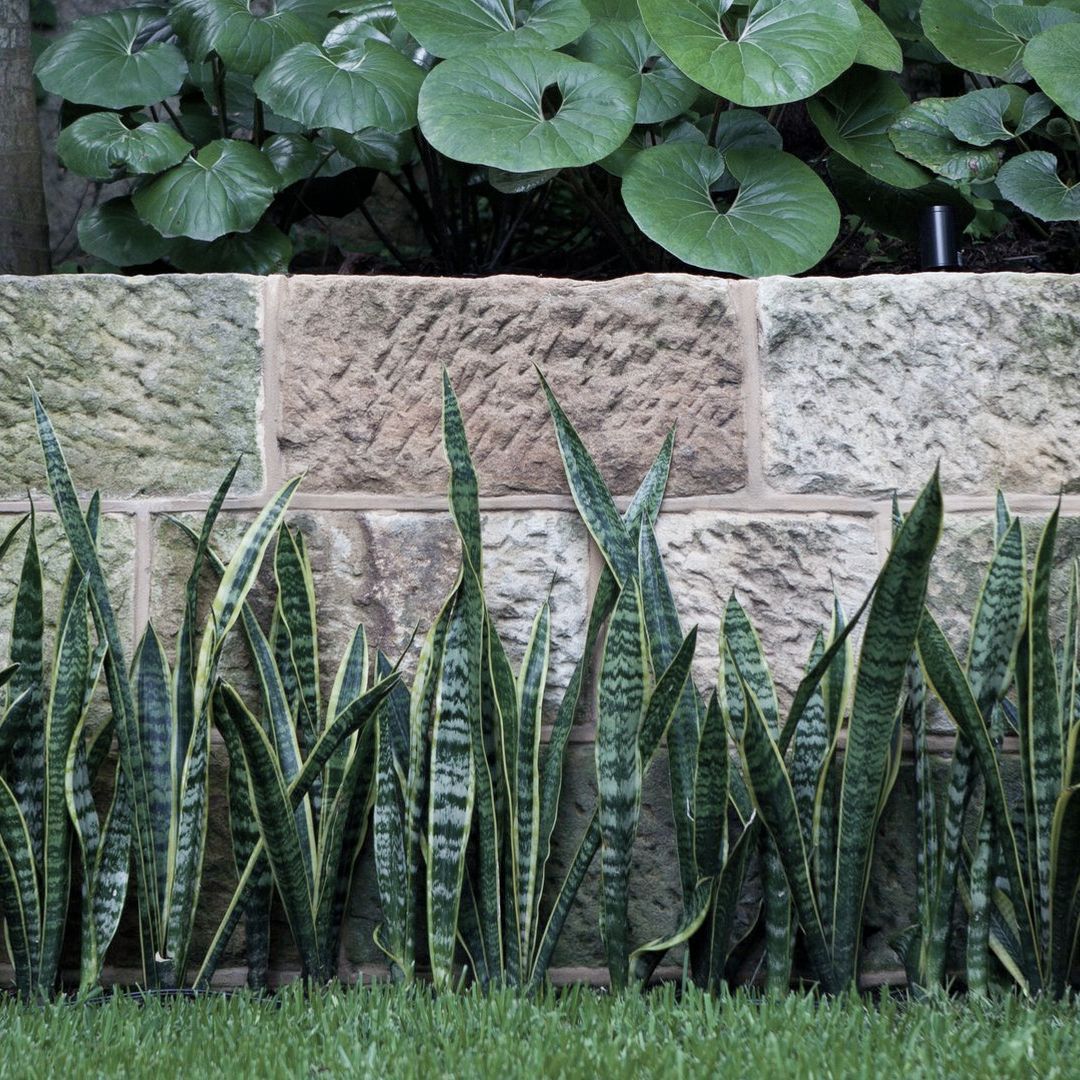 Ben Kaye Garden Design