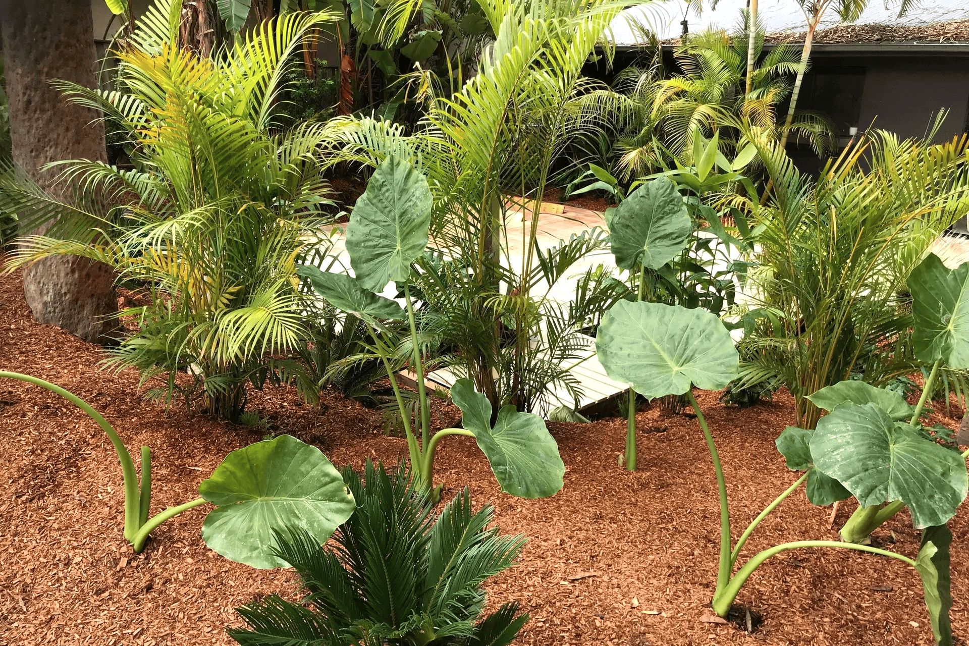 Supporting Image 2 for Devo Designs Landscaping