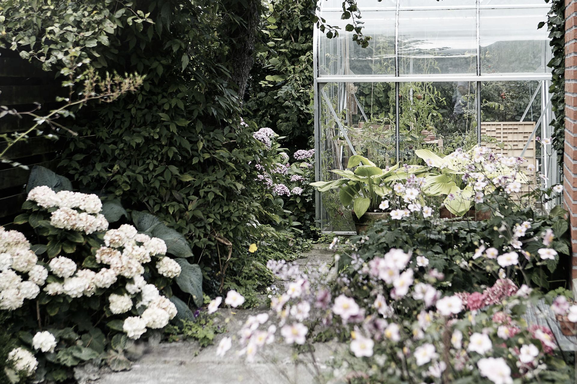 Supporting Image 1 for Outdoor Designs