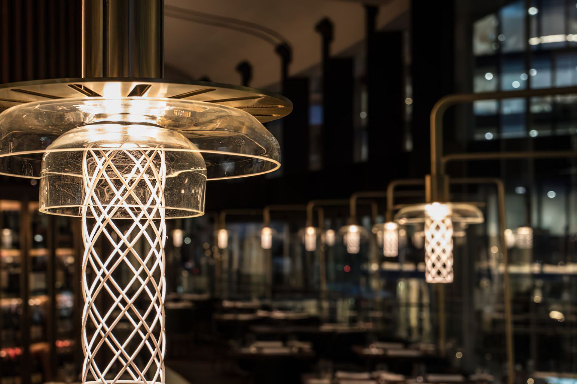 Supporting Image 2 for Light Establishment