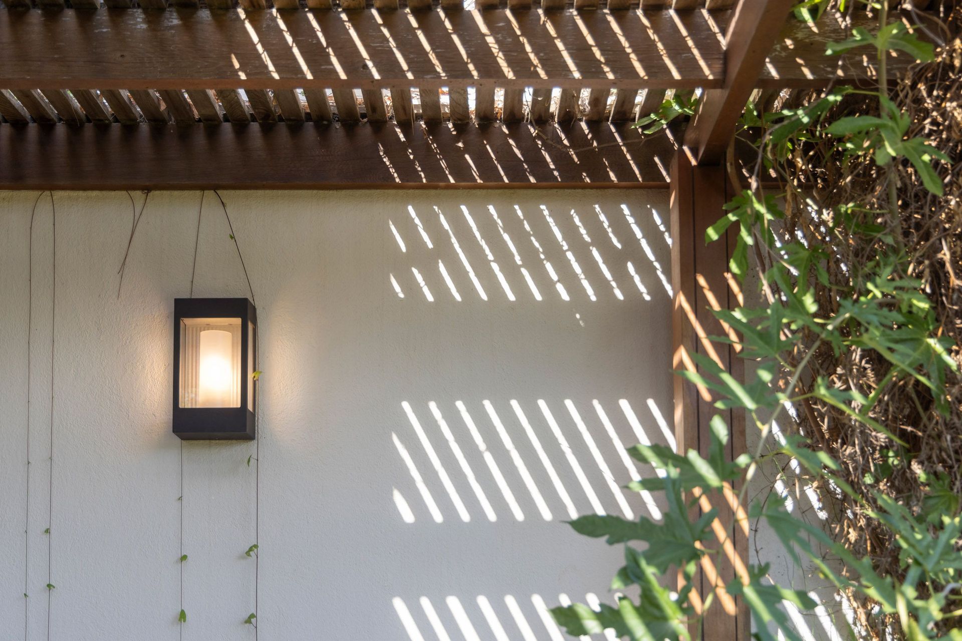 Supporting Image 5 for Special Lights