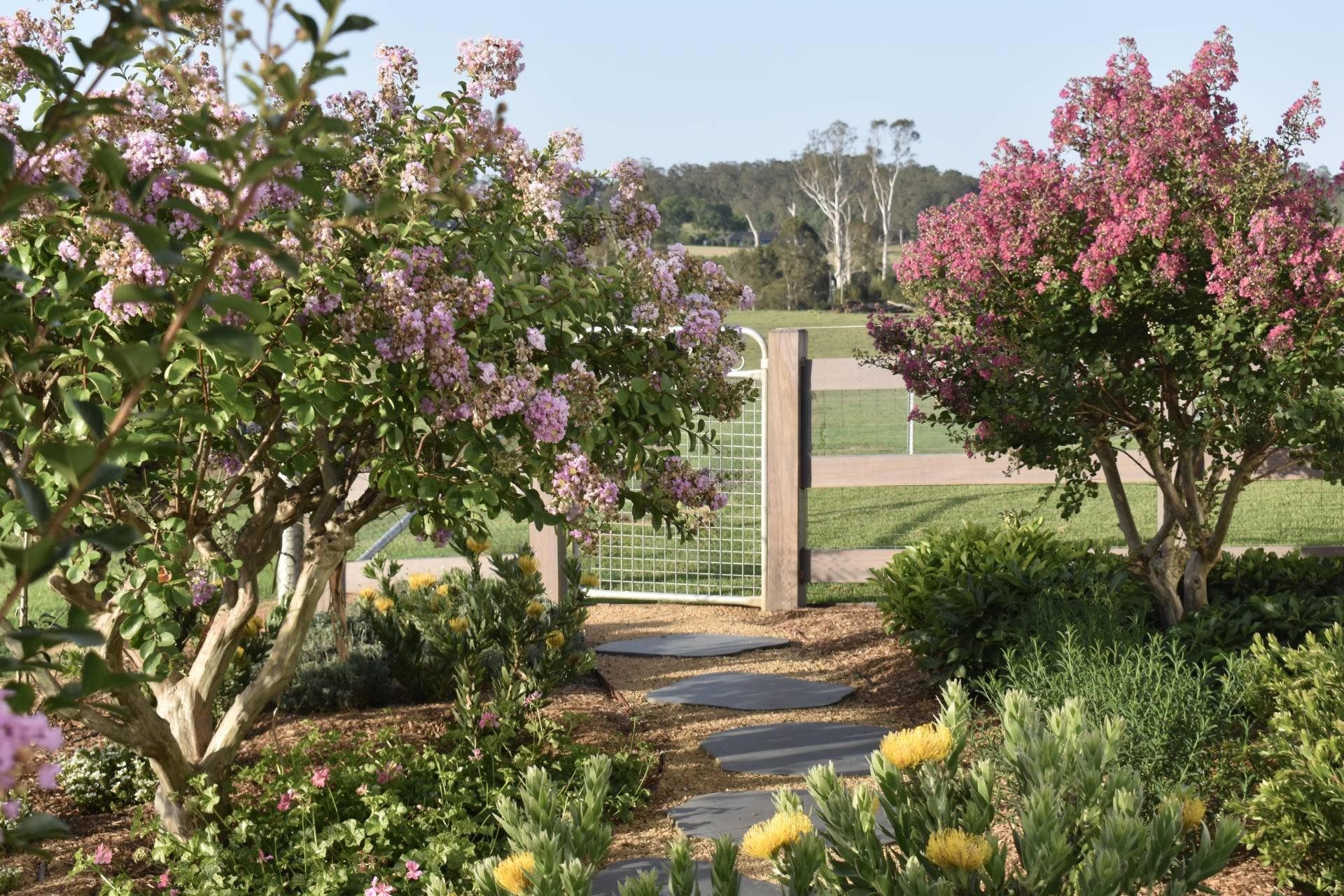 Supporting Image 3 for Inside Out Garden Design